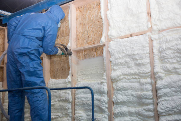 Best Insulation for New Construction  in USA